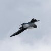 Aviation